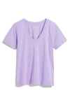 Vineyard Vines Clean Jersey V-neck T-shirt In Freesi