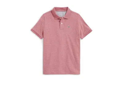 Vineyard Vines Edgartown Pique Polo (toddler/little Kids/big Kids) Boy's T Shirt Lobster Reef : 7 Big Kid In Pink