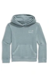 Vineyard Vines Kids' Vintage Whale Graphic Hoodie In Blue