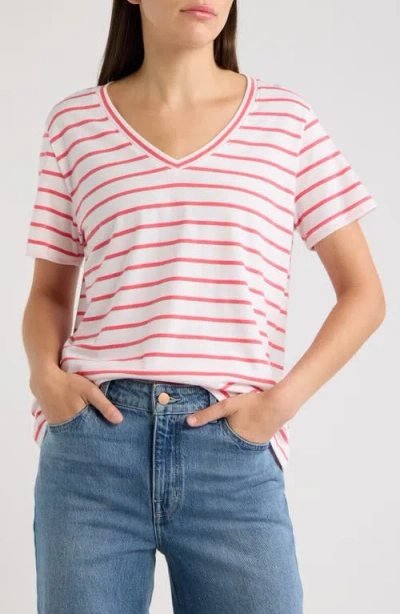 Vineyard Vines V-neck Cotton T-shirt In Coral Punch Stripe