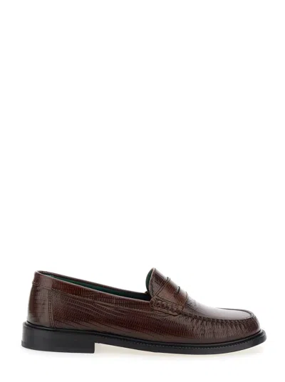 Vinny's Yardee Lizard In Brown