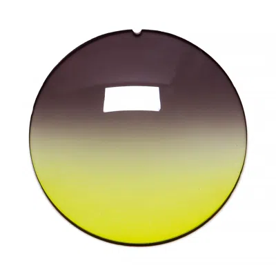 Vintage Frames Company 072 - Eggplant/lime Gradient In Green