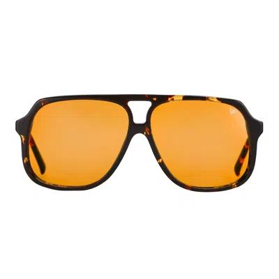 Vintage Frames Company King Size Brown Tortoise Acetate In Black