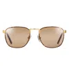 Vintage Frames Company Pusher Tortoise Edition 18kt Gold In Brown