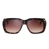 Vintage Frames Company Xxl Tortoise Edition Brown Acetate In Black