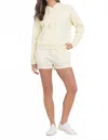 Vintage Havana Garment Dye Embroidered Hoodie In Neutral