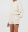 Vintage Havana South Beach Fleece Crew In Beige In Beige