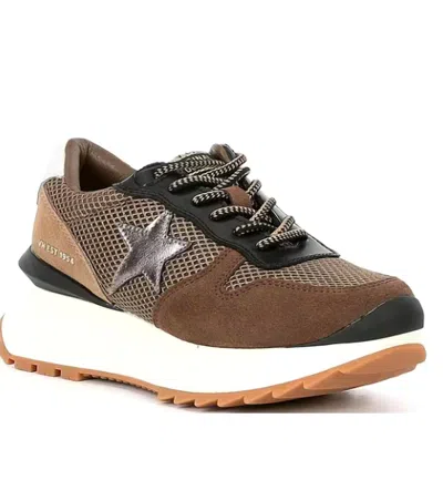 Vintage Havana Women's Major 31 Sneaker In Brown Multi