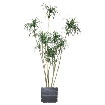 Vintage Home 104" Artificial Dragon Tree In Pot