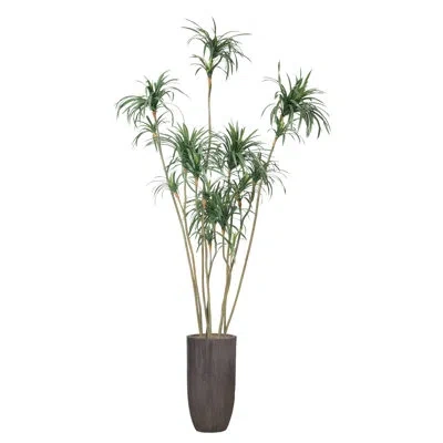 Vintage Home 112.25" Artificial Dragon Tree Tree In Pot In Green