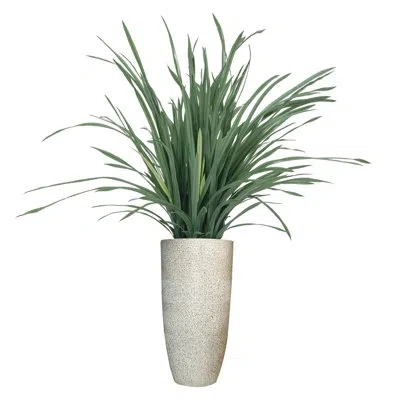 Vintage Home 50" Artificial Lemon Grass In Pot