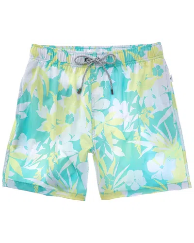 Vintage Summer 4-way Stretch Volley Swim Trunk In Green
