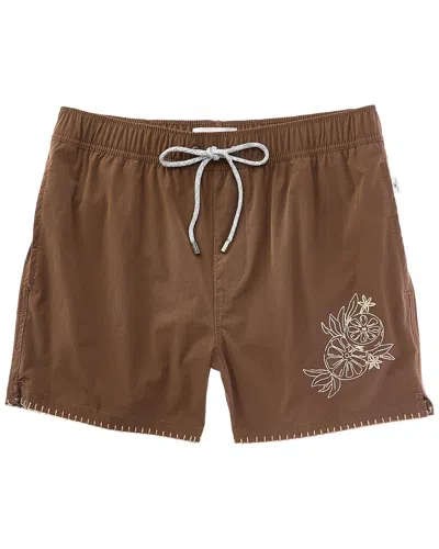 Vintage Summer Embroidered Swim Short In Brown