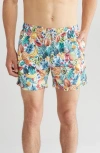 VINTAGE SUMMER VINTAGE SUMMER FUN FRUIT PRINT SWIM TRUNKS