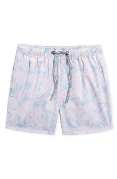 Vintage Summer Kids' Flamingo Print Swim Trunks In Multi
