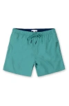 Vintage Summer Kids' Solid Water Repellent Swim Trunks In Teal