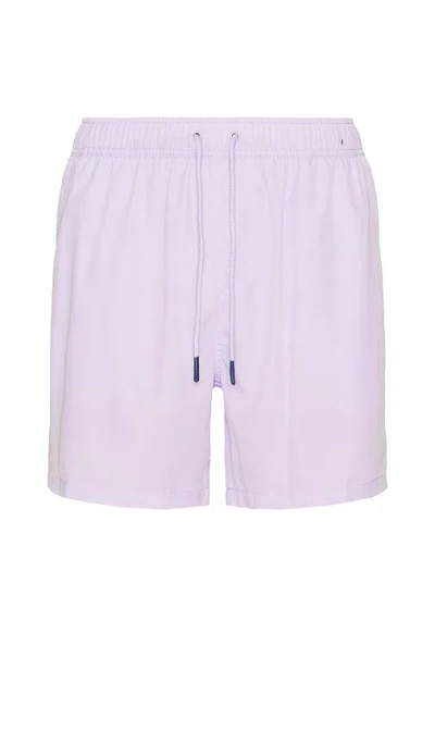 Vintage Summer Performance Stretch Lined Swim Shorts In Purple