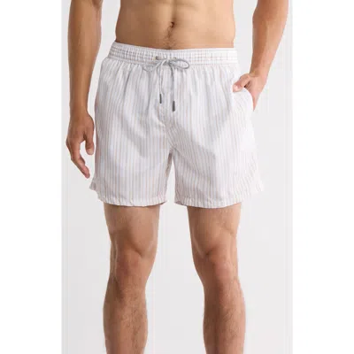 Vintage Summer Ponji Stripe Swim Trunks