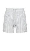 Vintage Summer Ponji Swim Short In Green
