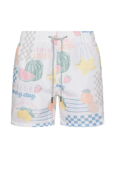 Vintage Summer Ponji Swim Shorts In White