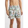 Vintage Summer Ponji Swim Trunks In Green
