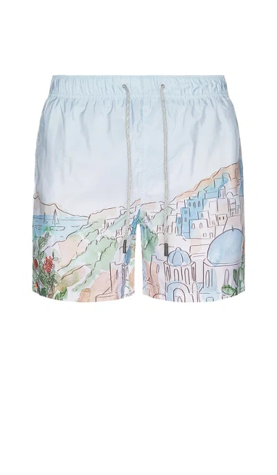 Vintage Summer Ponji Swim Volley Swim Short In Baby Blue