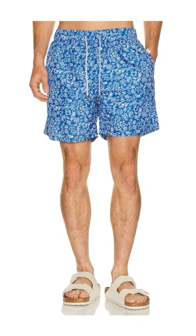 Vintage Summer Ponji Swim Volleys In Blue