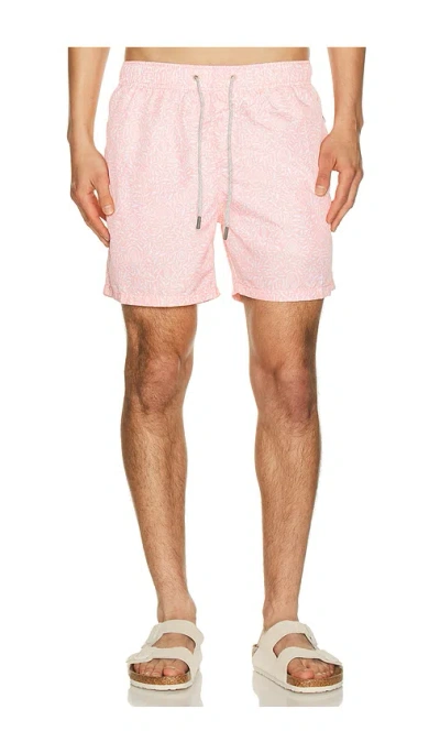 Vintage Summer Ponji Swim Volleys In Pink