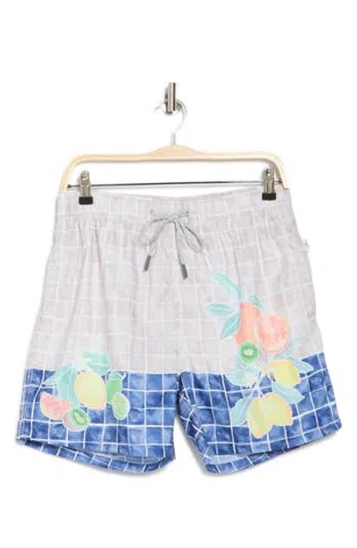 Vintage Summer Ponji Volley Swim Trunks In Brown