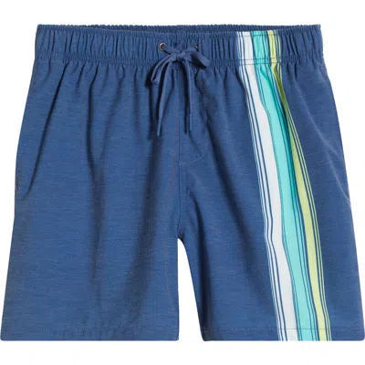 Vintage Summer Poolside Volley Swim Trunks
