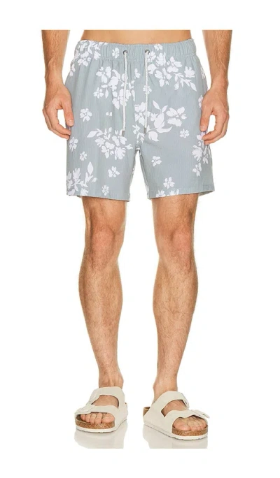 Vintage Summer Seersucker Strech Volley Swim Trunks In Multi