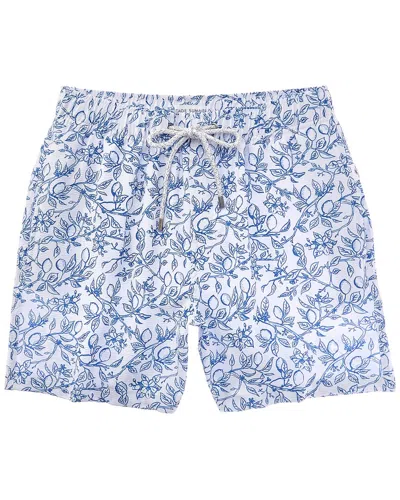 Vintage Summer Seersucker Swim Short In Multi