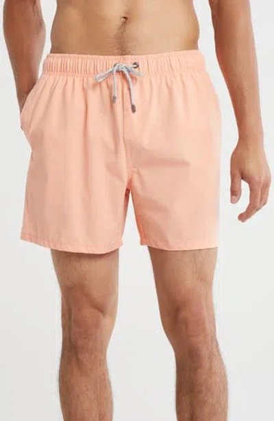Vintage Summer Vintage Wash Volley Swim Shorts In Pink