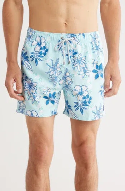 Vintage Summer Volley Swim Shorts In Green