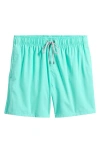 Vintage Summer Volley Swim Trunks