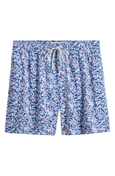 Vintage Summer Volley Swim Trunks