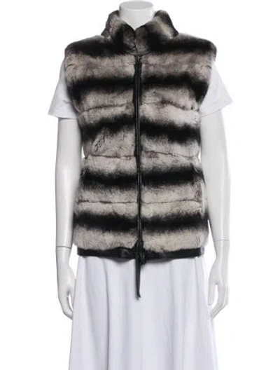 Pre-owned Vintage - Unbranded Fur Striped Vest In Multi