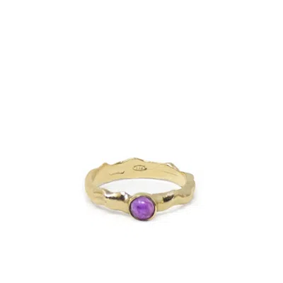 Vintouch Italy Women's Gold / Yellow Cosmo Gold-plated Amethyst Ring
