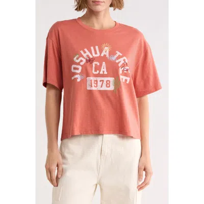 Vinyl Icons Joshua Tree Graphic Tee In Brown