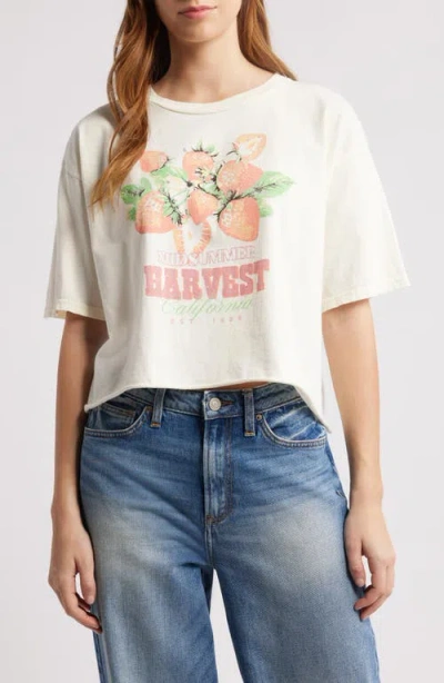 Vinyl Icons Strawberry Harvest Crop Cotton Graphic T-shirt In Natural