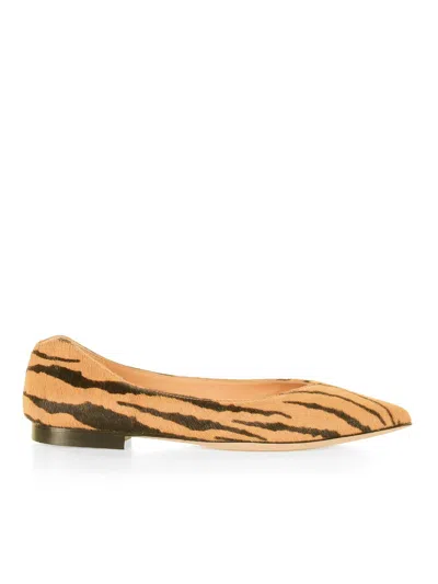 Viola Ricci Brindle Flat Dancer In Purple