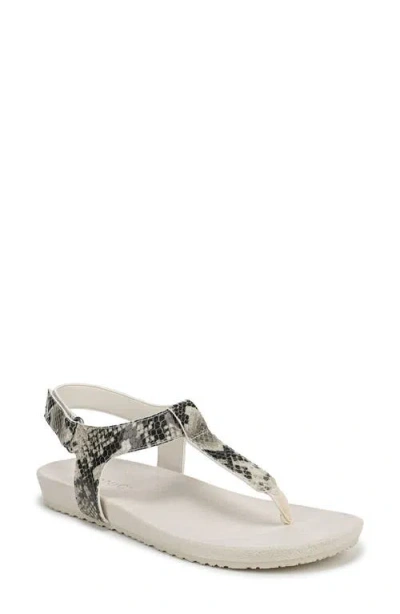 Vionic Palisades Sandal In Animal Print