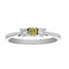 Vir Jewels 1/4 Cttw 3 Stone Yellow And White Diamond Engagement Ring 14k White Gold In White