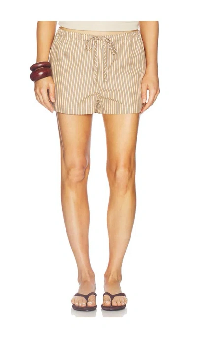 Vir Vita Celeste Stripe Short In Brown