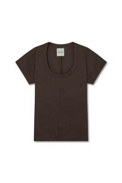 Vir Vita Pointelle Scoop Tee In Brown