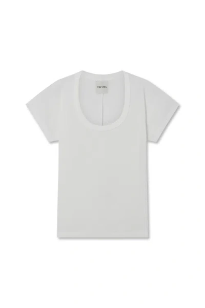 Vir Vita Pointelle Scoop Tee In White