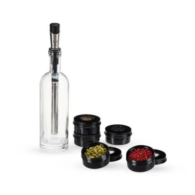 Viski Alchemi Spirits Infusion Kit In Silver