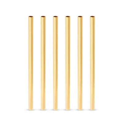Viski Belmont Lowball Straws Set Of 6 In Clear