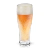 Viski Glacier Double Walled Chilling Beer Glass In Clear
