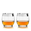 Viski Irving Chrome Rim Tumbler Set In Clear